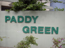 Paddy Green #1248712